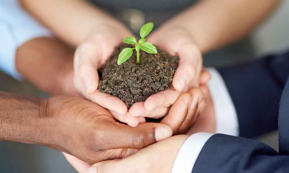 respect de l'environnement